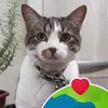 ceciliaolivarez7 - @ceciliaolivarez7 - TikTok