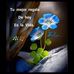 Cecilia Velez - Facebook