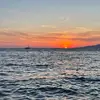 Cecilia - @cecilia.weaver - TikTok