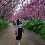 Cecilia Yuen - @yuen_cecilia - Instagram