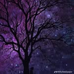 Cecilio Gómez - @cecilio__gomez - Instagram