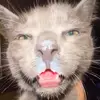 Cecilio Gomez - @cecilio.gomez25 - TikTok