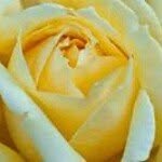 Alma Rocio Solis Cecilio - @almarocio.soliscecilio.9 - Instagram
