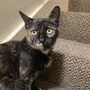 Cecily - @cecilygray1 - TikTok