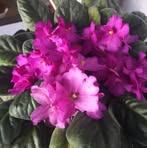 Cecily Lopez - Facebook