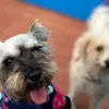 Cecily López - @cecily_91 - TikTok