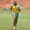 Lion - @cedricfrancis18 - TikTok