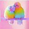 cedric James - @user2226516719673 - TikTok