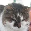 Cedric Lemaire - @cedric.lemaire2 - TikTok