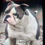 Cedric Owens - @kountryboyyahoocom - Instagram
