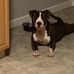Cedric Pitts - Facebook