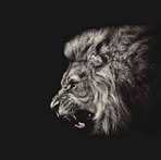 Cedric Powers - Facebook