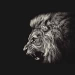 Cedric Powers - @powerscedric - Instagram