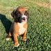 Cedric Sampson - Facebook