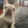 Cedric Walker - @cedric.walker3 - TikTok
