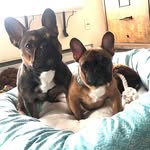 Cedric&Walter - @cedric_and_walter - Instagram