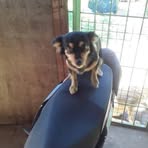 Ceferino Ortiz - Facebook