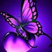 Celena Estrada - Facebook