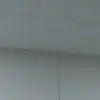celestesaldanaarredondo - @celestesaldanaarredondo - TikTok