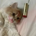 Celeste Arden - Facebook