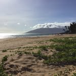 Celeste Blake - @honuacupuncture - Instagram