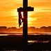 Celeste Perdue Brantley - Facebook