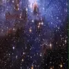 _celeste_cantu_ - @_celeste_cantu_ - TikTok