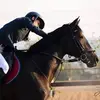 celestegibbons - @celestegibbons - TikTok