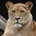 Celeste Griffin - Facebook