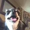 Celeste - @celeste.hall - TikTok