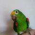 Celeste Herrea - Facebook