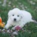 Celeste Herron - Facebook
