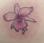 Celeste Kern - Facebook