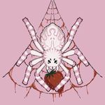 Celeste Lewis - @spiderberrytattoo - Instagram