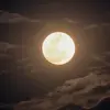 Celeste - @celestelight - TikTok