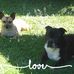 Celeste Manwaring - Facebook