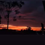 Celeste Meza - @kangaroo.157451 - Instagram