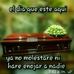 Celeste Moran - Facebook