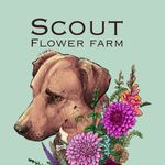 Celeste Nelson - @scoutsflowerfarmsp - Instagram