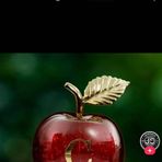 Celeste Rosales - Facebook