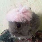 Celeste Rosales - Facebook
