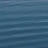 celeste.the.savager - @celeste.the.savager - TikTok