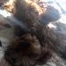 Celeste Scott - Facebook