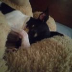 celeste sullivan - @ce.leste3929 - Instagram