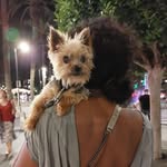 Celeste Teixeira - @celeste.teixeira.56 - Instagram