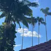 Celes💝👧🏼✨ - @celeste.velasquez23 - TikTok