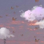 @celes_tevogel - Instagram