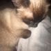 Celeste Whitehead - Facebook