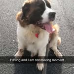 Celestine Smith - @celestinesmith592 - Instagram
