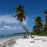 Celestino Afonso - @celestino.afonso.1232 - Instagram
